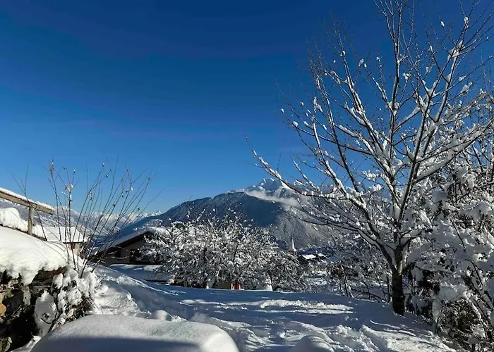 Vista Alpina Apartman *