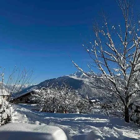 Vista Alpina 公寓 *